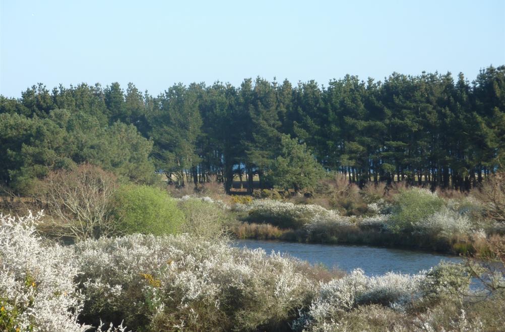  de polder in het voorjaar