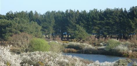  de polder in het voorjaar - Camping Kost Ar Moor - Fouesnant
