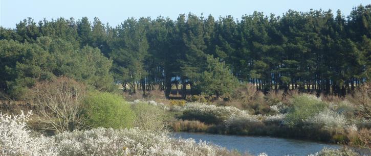  de polder in het voorjaar