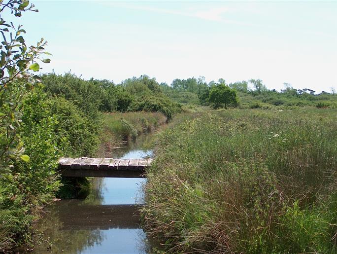  Beschermd natuurgebied aan de rand van camping Kost-ar-moor