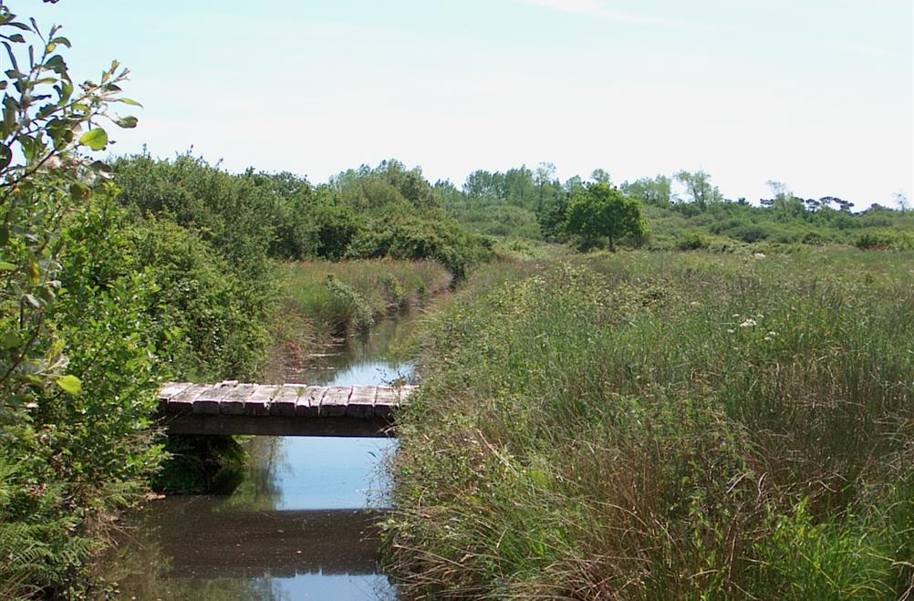  Beschermd natuurgebied aan de rand van camping Kost-ar-moor