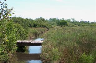  Beschermd natuurgebied aan de rand van camping Kost-ar-moor - Camping Kost Ar Moor - Fouesnant