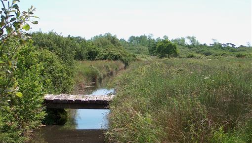  Beschermd natuurgebied aan de rand van camping Kost-ar-moor - Camping Kost Ar Moor - Fouesnant