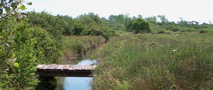  Beschermd natuurgebied aan de rand van camping Kost-ar-moor