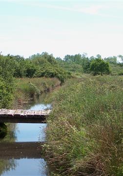  Beschermd natuurgebied aan de rand van camping Kost-ar-moor - Camping Kost Ar Moor - Fouesnant