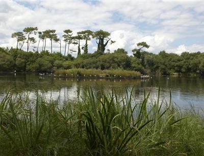 Beschermd natuurgebied aan de rand van camping Kost-ar-moor