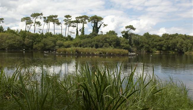  Beschermd natuurgebied aan de rand van camping Kost-ar-moor
