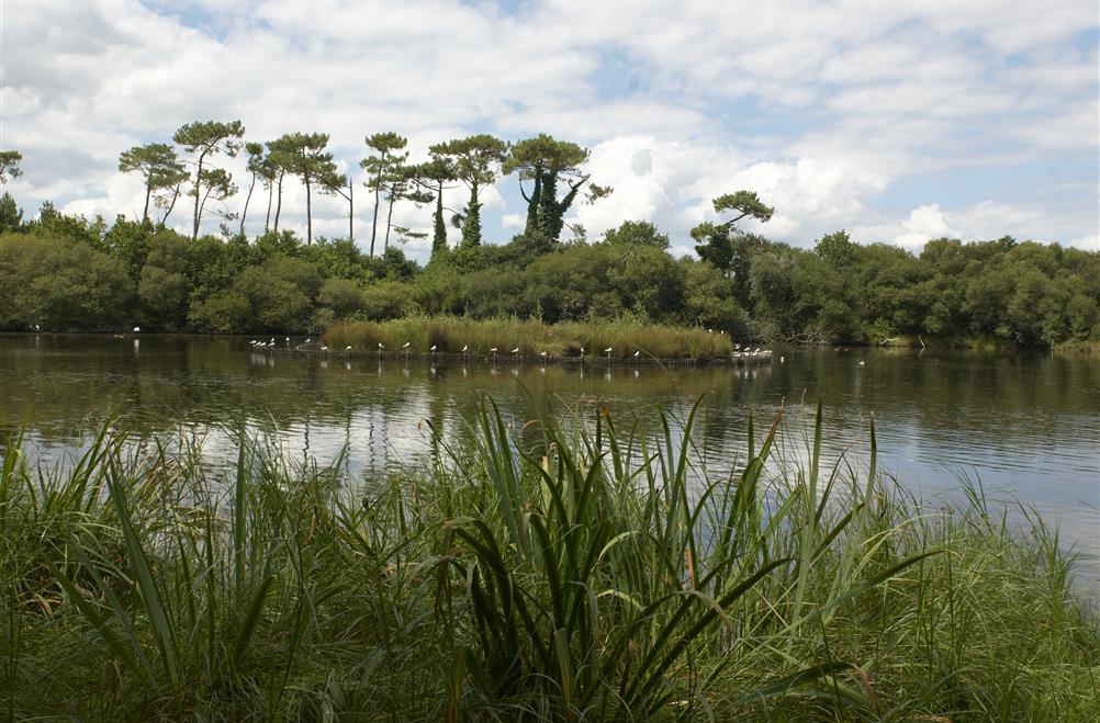  Beschermd natuurgebied aan de rand van camping Kost-ar-moor
