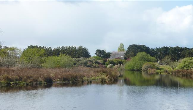  vissen mogelijk in de vijver tegenover de camping kost-ar-moor bretagne sud