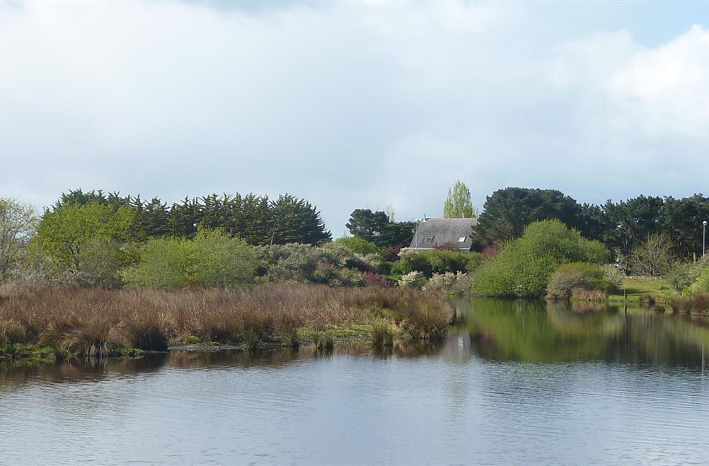  vissen mogelijk in de vijver tegenover de camping kost-ar-moor bretagne sud