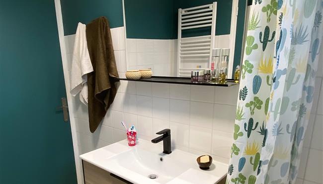 badkamer van het appartement voor 2 personen in Fouesnant - camping kost ar moor